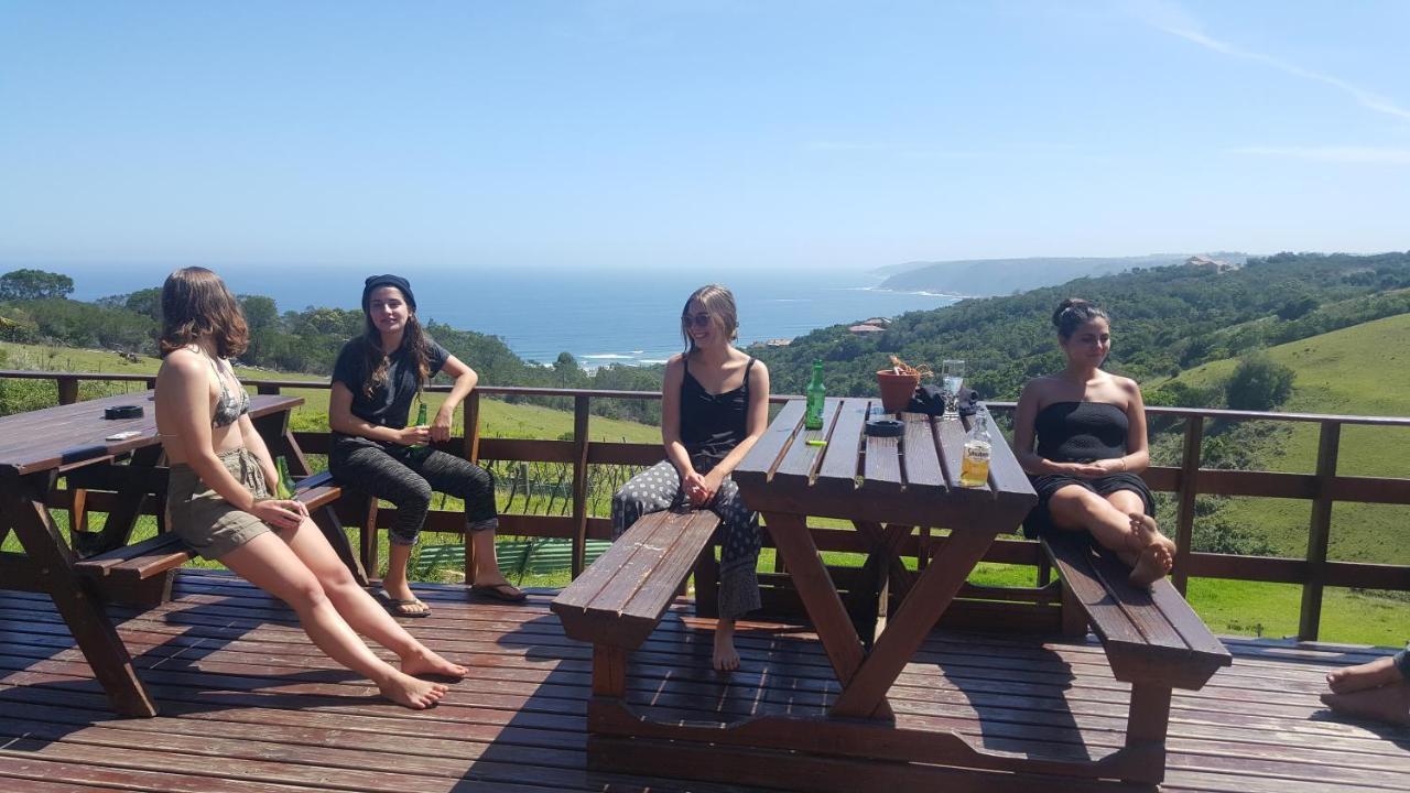 더 와일드 팜 백패커스 윌더니스 외부 사진